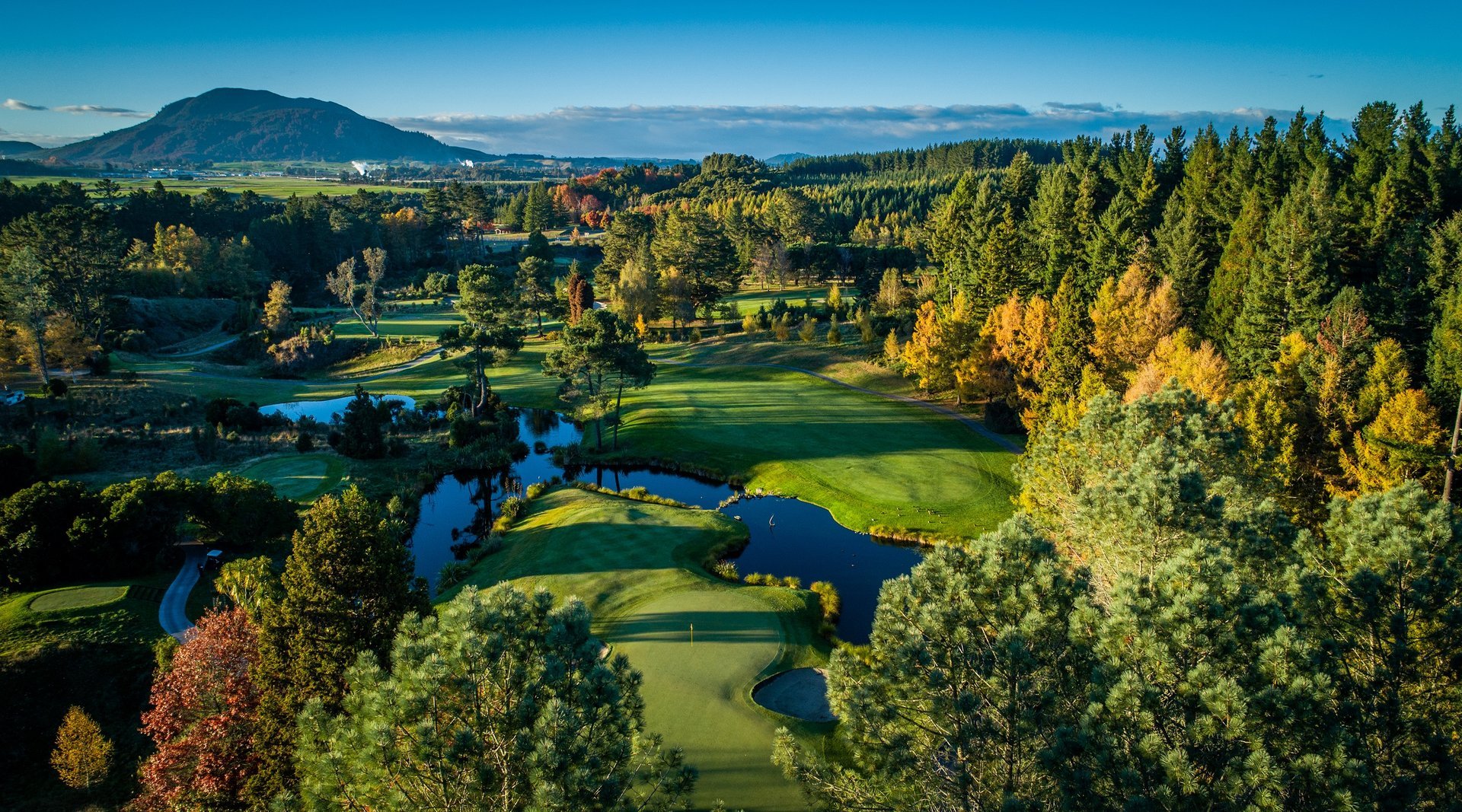 Wairake-Golf,-Autumn-Trees-large